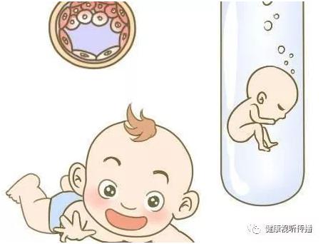 胚胎实验室主任